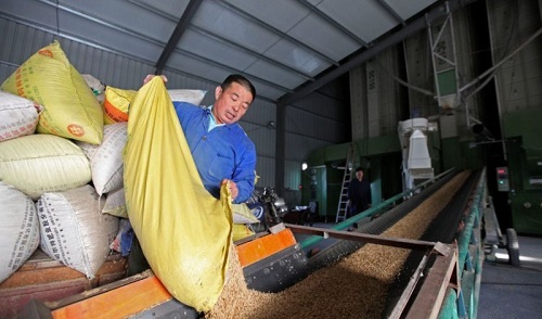 糧食收購站短信宣傳案例